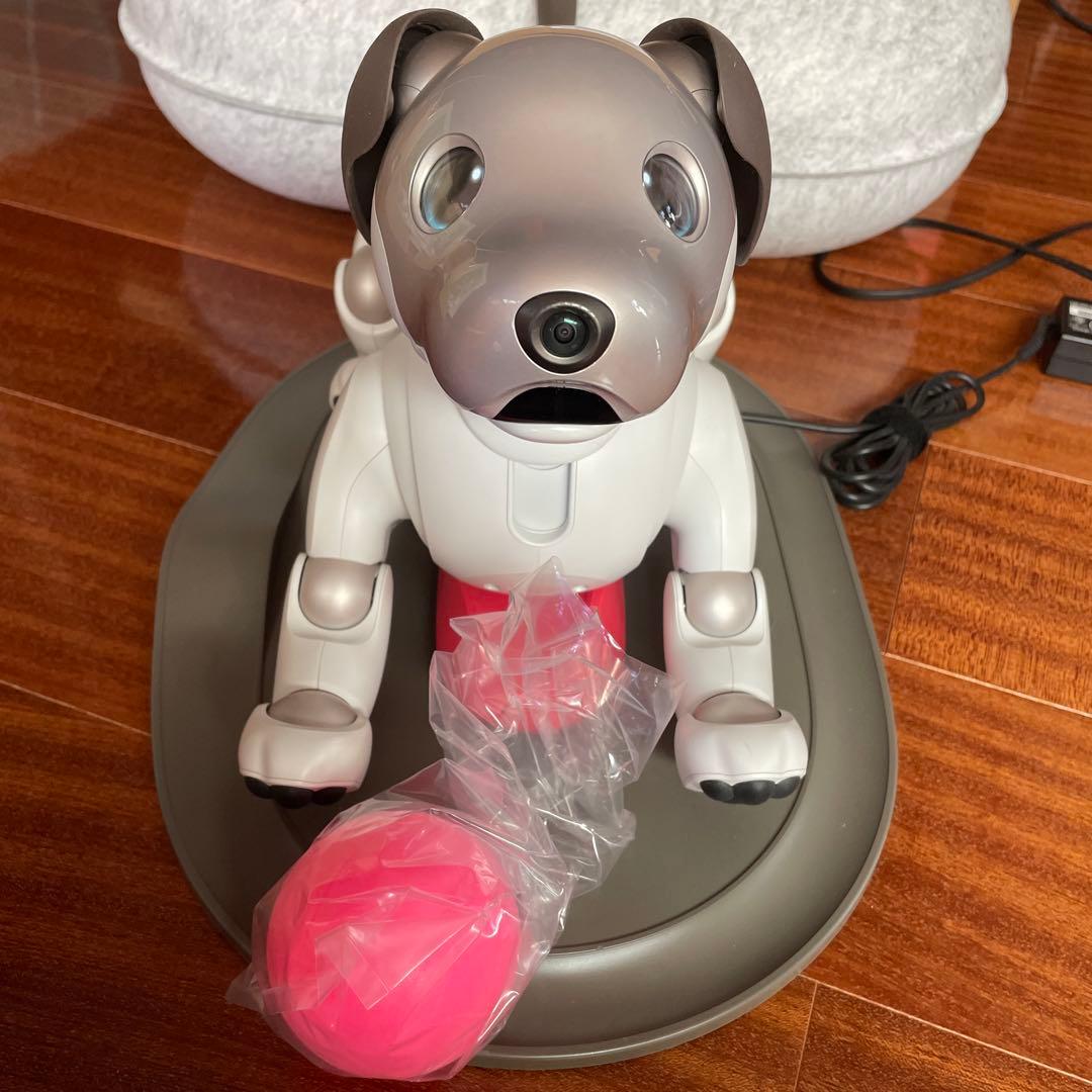 aibo本体 アイボ ERS-1000 ロボット犬 2019年正規購入