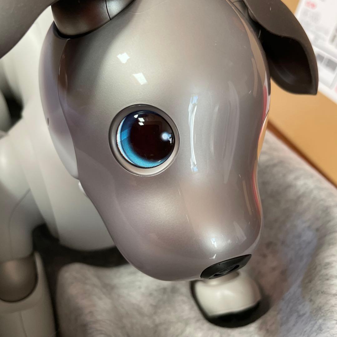 aibo本体 アイボ ERS-1000 ロボット犬 2019年正規購入