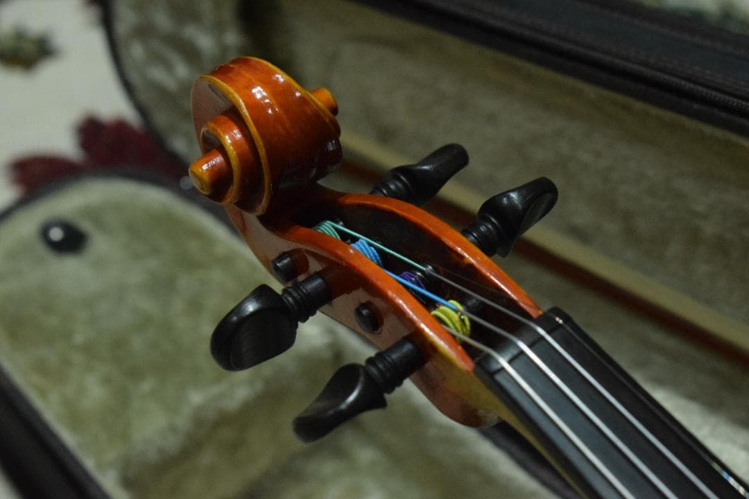 Suzuki Violin No.540 4/4 ケース付
