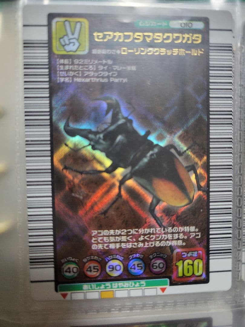 それぞれ100円！(同時購入時)