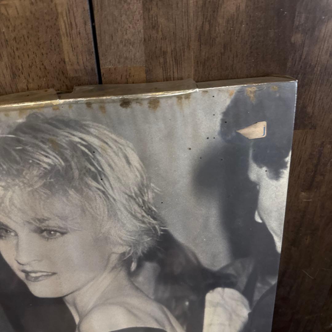 モノクロ ポートレート マドンナ レトロ 当時物 パネル 写真 海外 歌手