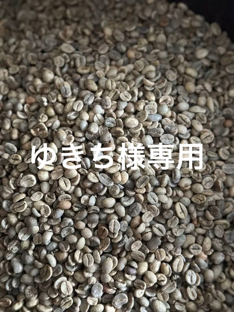 【コーヒー生豆】1.5kg/４種合計6kg ※送料無料