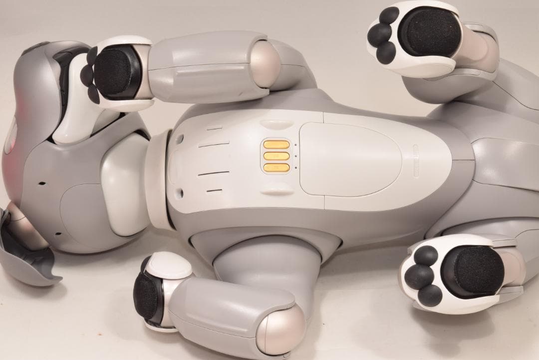 黒ゴマ ソニー アイボ ERS-1000 アイボーン AIBO SONY レア
