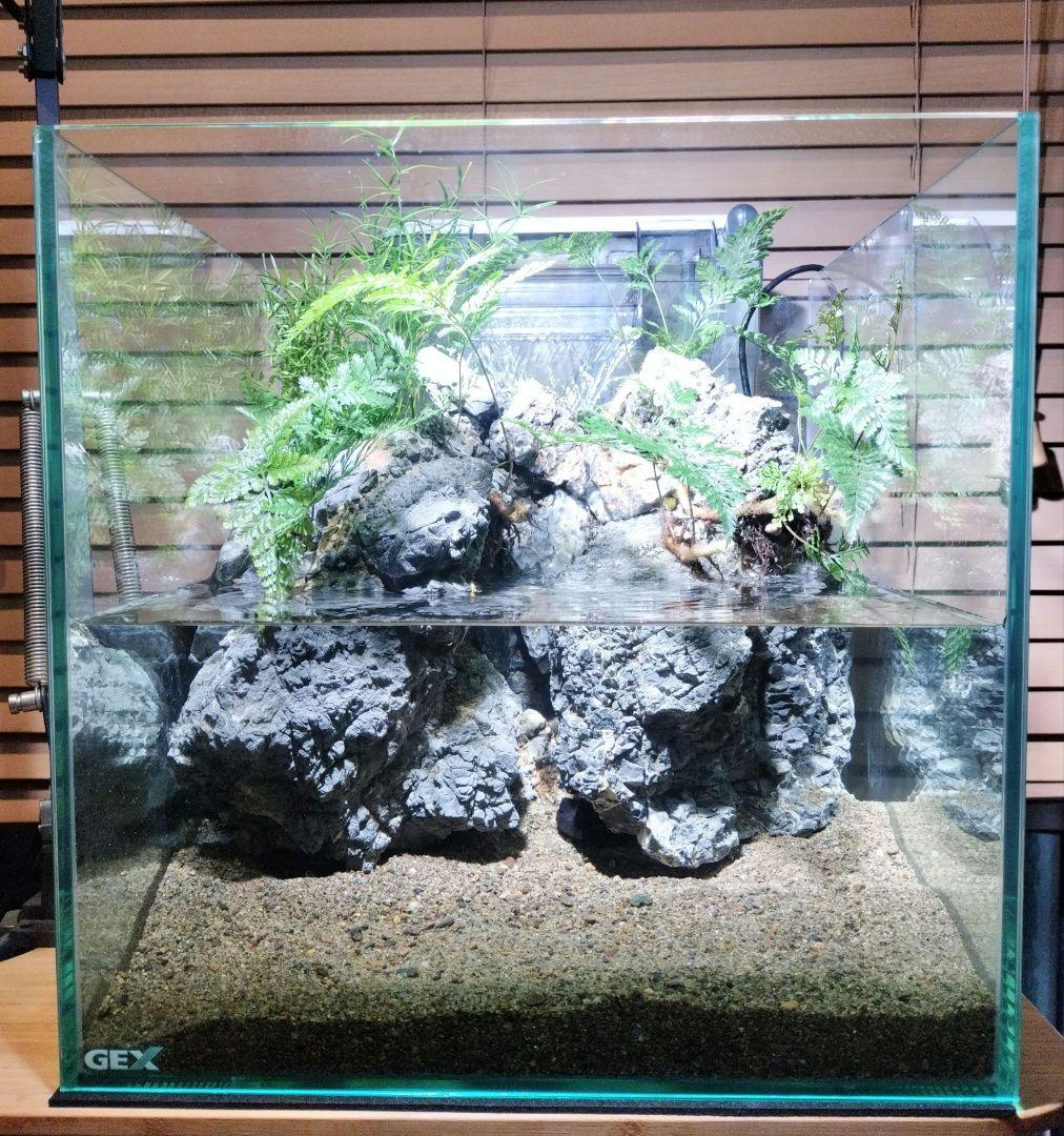 【アクアテラリウム完成品】滝のあるテラリウム パルダリウム アクアリウム