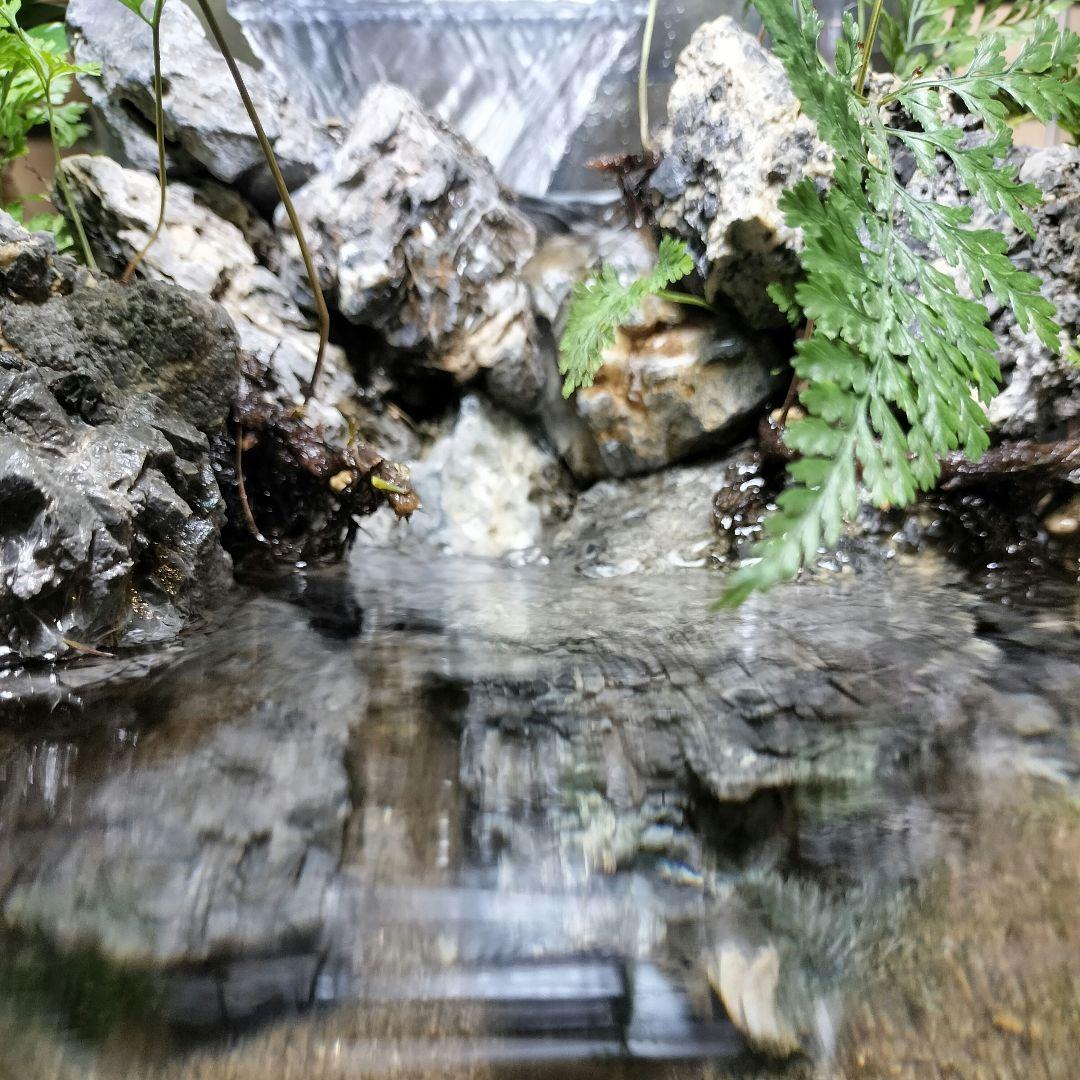 【アクアテラリウム完成品】滝のあるテラリウム パルダリウム アクアリウム