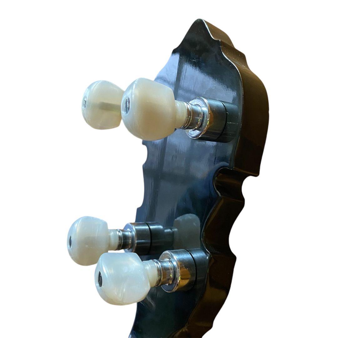 【早い者勝ち】TOKAIバンジョー ハミングバード ハードケース付き 教則本付き