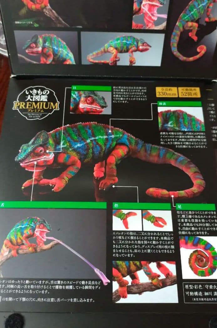 いきもの大図鑑プレミアム　パンサーカメレオン　アンビローブ・グリーン