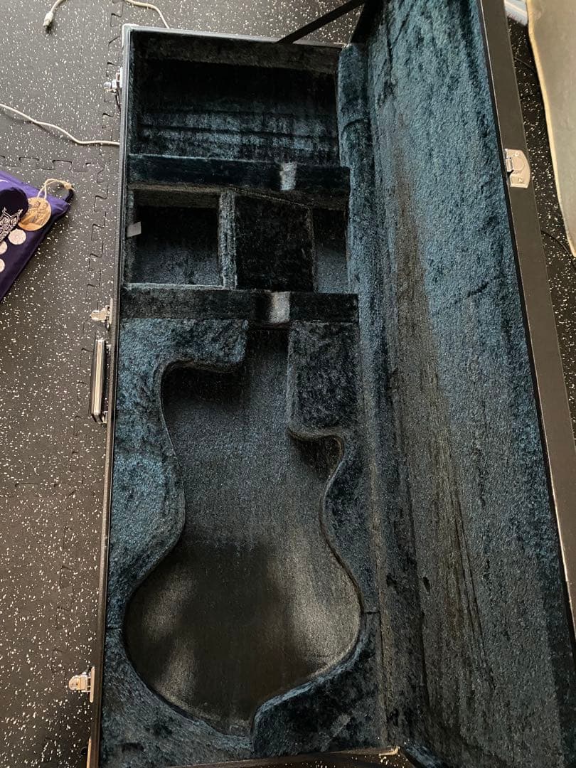 FERNANDES ハードケース　KRS-TRUTH ka-yu