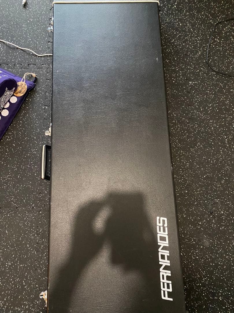 FERNANDES ハードケース　KRS-TRUTH ka-yu