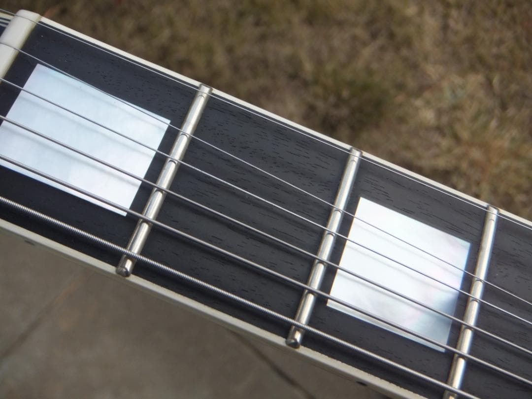 Fujigen NLC20EMH ラッカー　マホボディー　エボニー指板