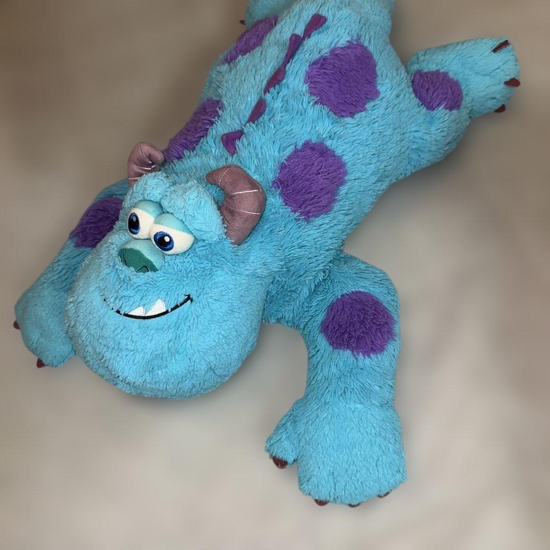 僕の相棒サリー。