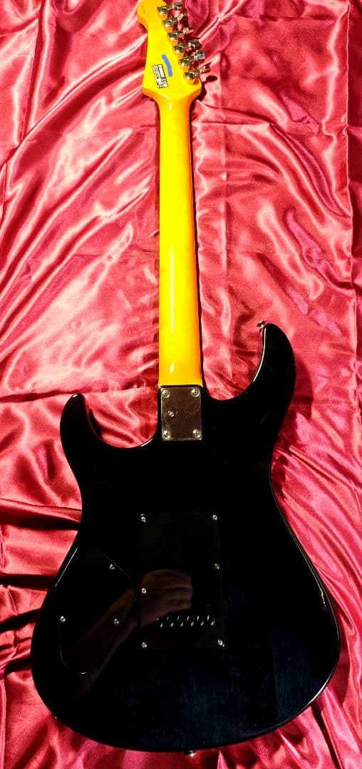 パシフィカ　611VFM　ぼっちちゃん仕様