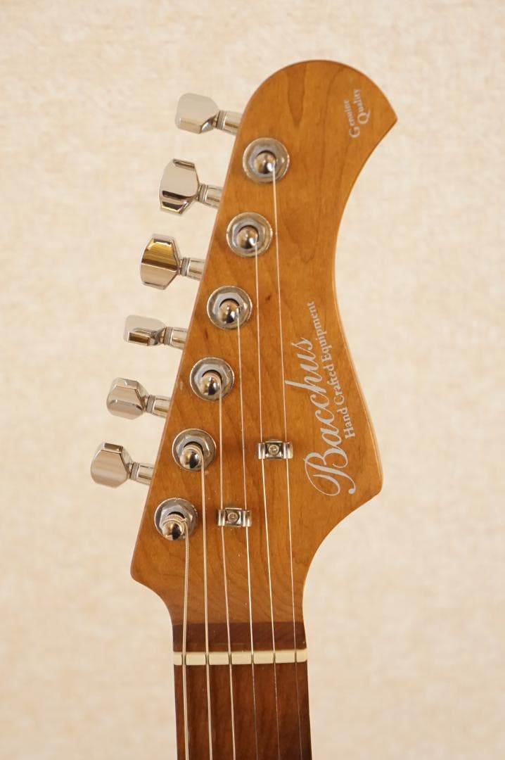 ギター Bacchus / TACTICS-CTM25