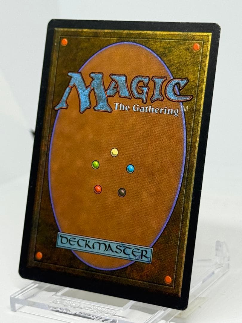 《Savannah》[3ED]リバイズド　ドイツ語版　デュアルランド