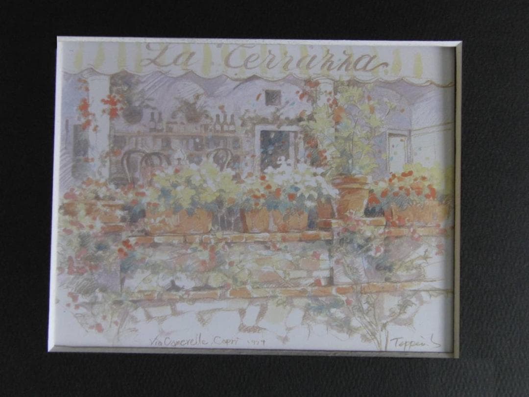 笹倉鉄平、【鉢植えのテラス】、希少な額装用画集より、状態良好、新品額装付