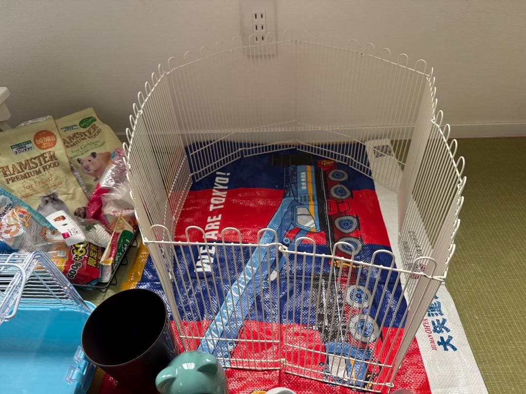 ハムスター２匹すぐ迎えられるセット