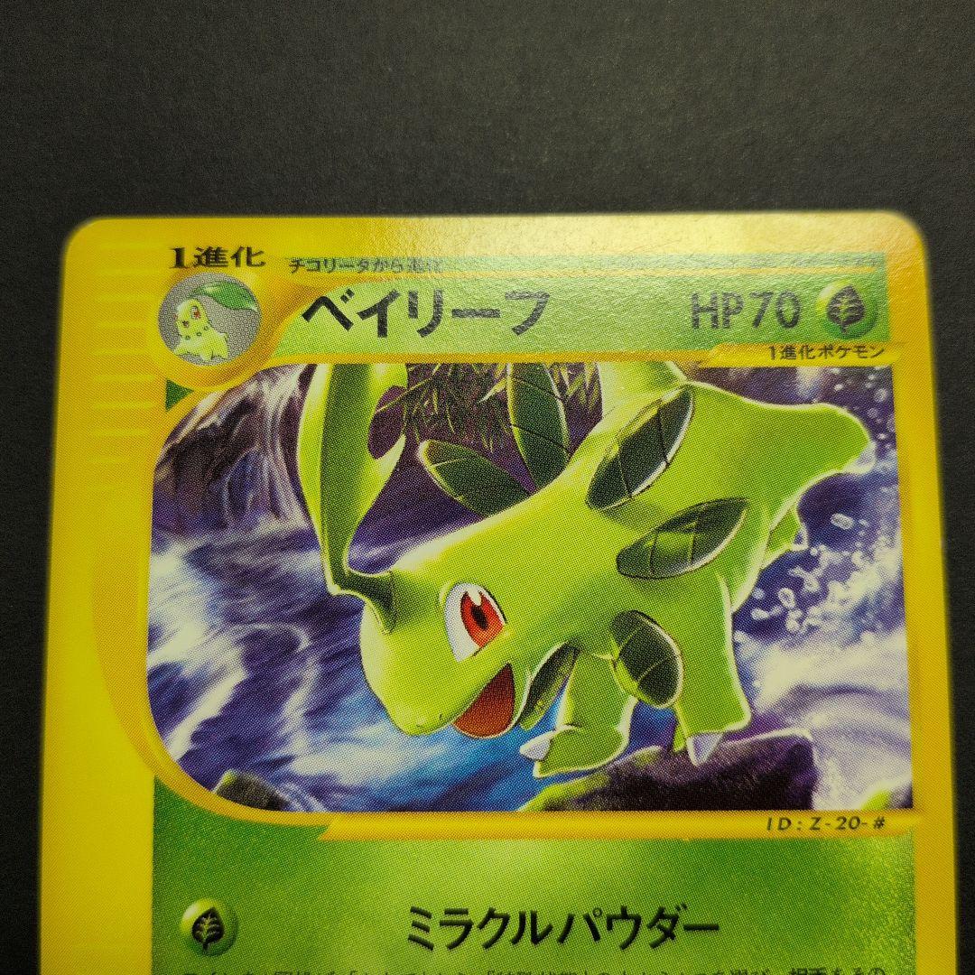 ベイリーフ・マグマラシ・アリゲイツ　トレーナーズプロモカード3枚セット