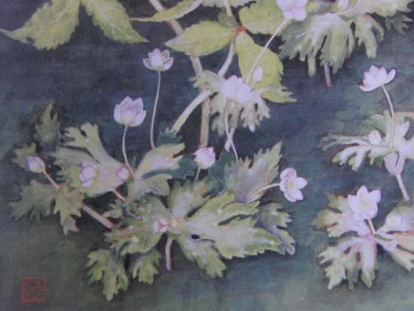 小橋操、山吹草、希少な額装用画集より、新品高級額装付、状態良好