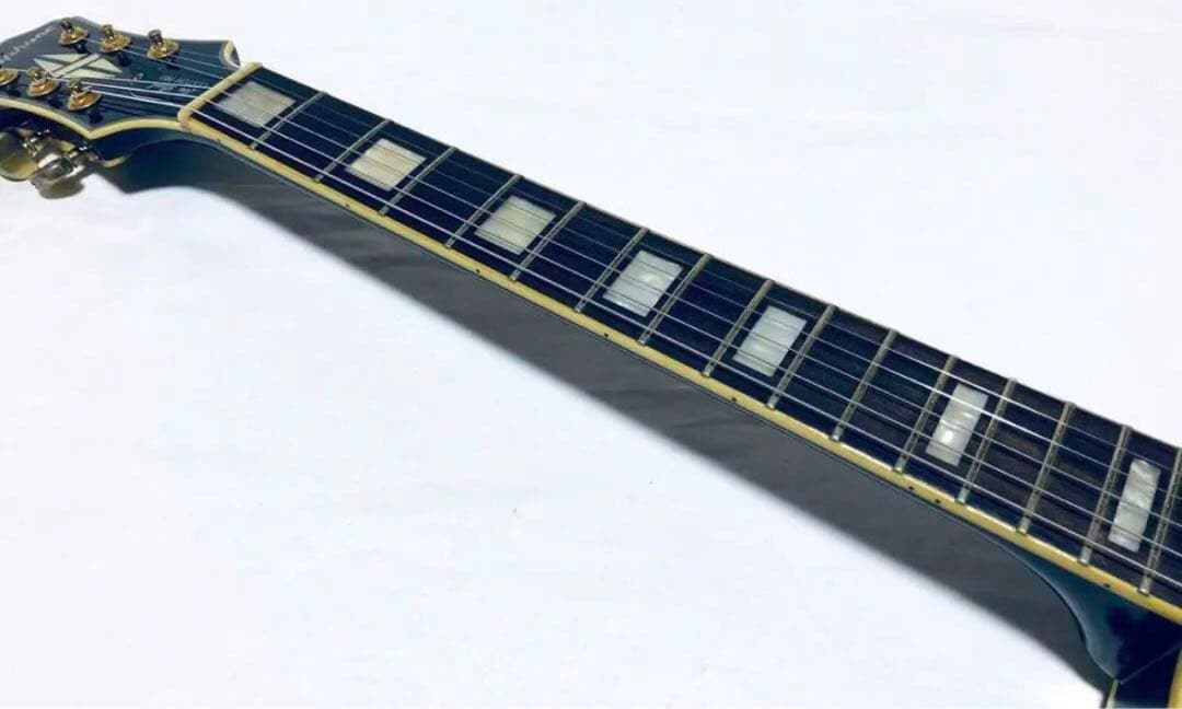 ギター Epiphone Les Paul Custom Pro