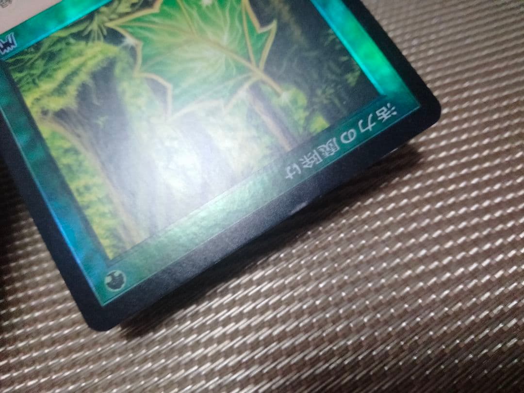 【ご確認用】オンスロート foil 活力の魔除け 日本語 1枚　MTG