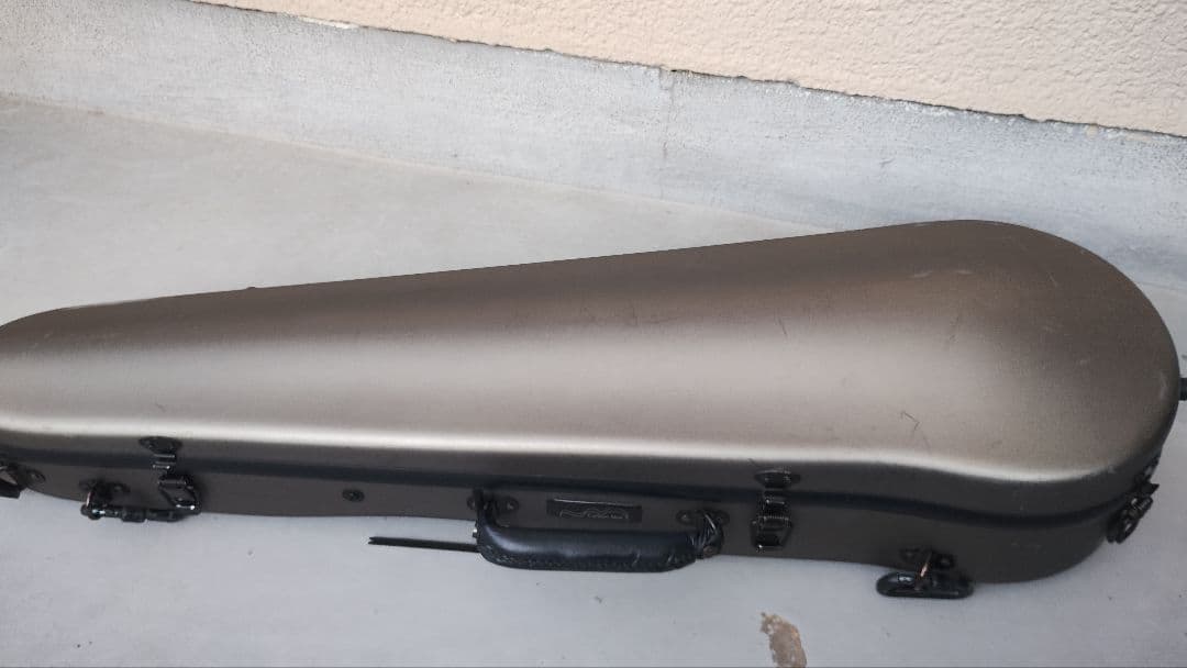 バイオリンケ-ス