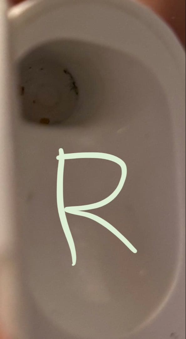 Apple AirPods Pro 2ライトニング 充電ケース付き