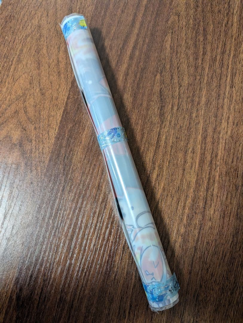 CF2011 限定 A3クリアポスター 家庭教師ヒットマンREBORN 沢田綱吉