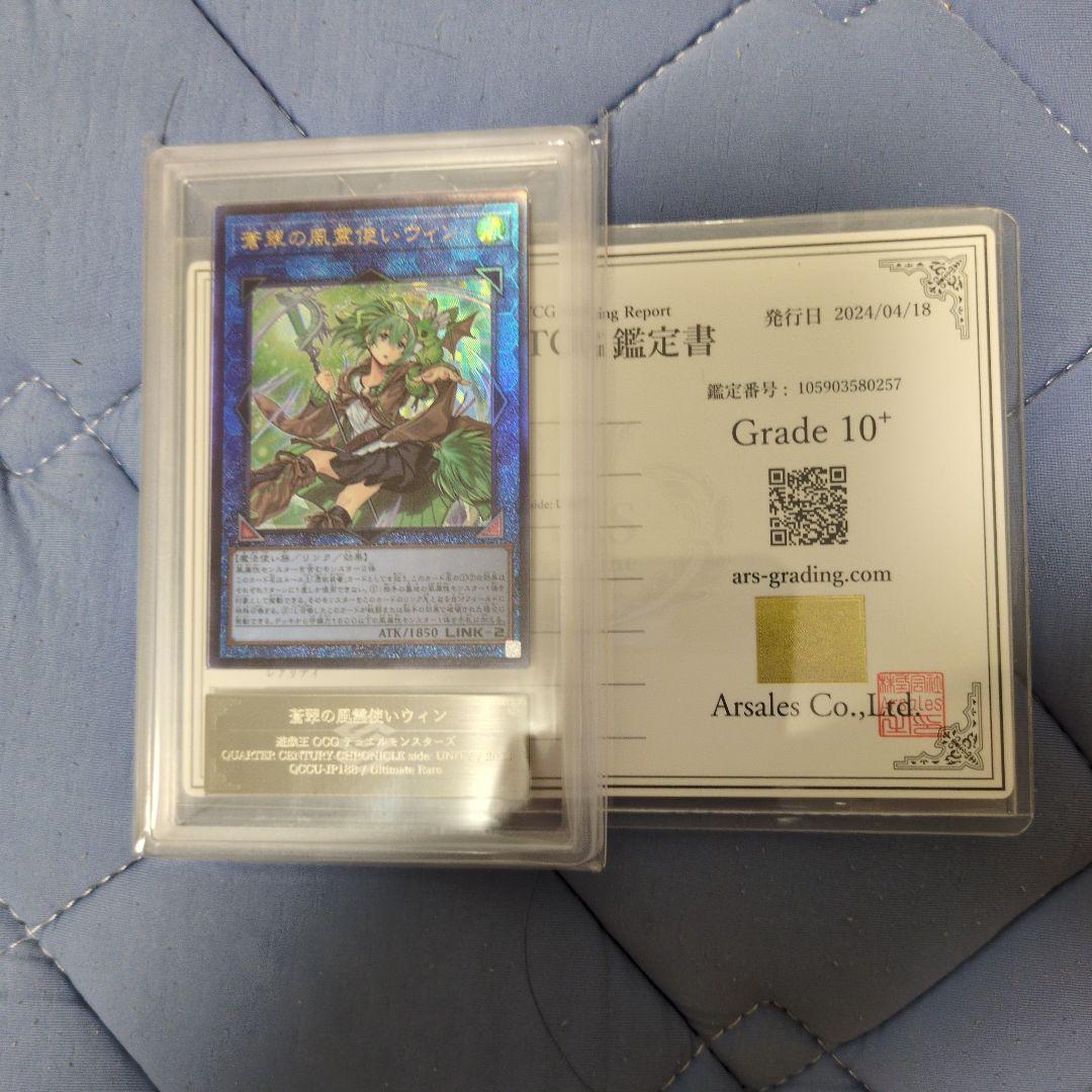 蒼翠の風霊使いウィン ars10+