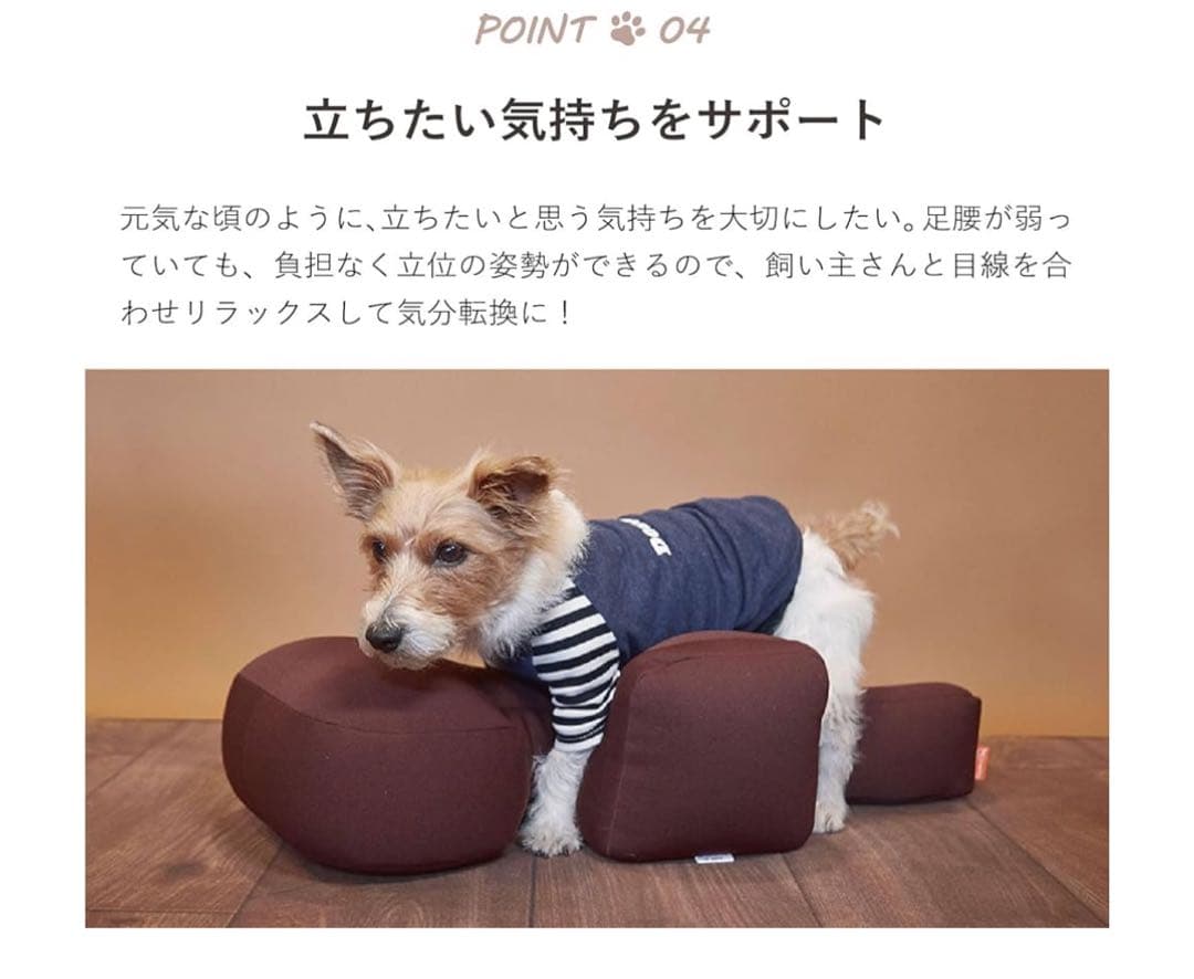 OneAid リラクッション M アロン化成 老犬介護 中型犬 大型犬　ブラウン