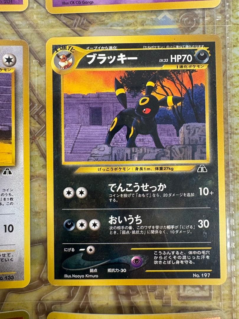 ポケモンカード　neo プレミアムファイル 2 旧裏