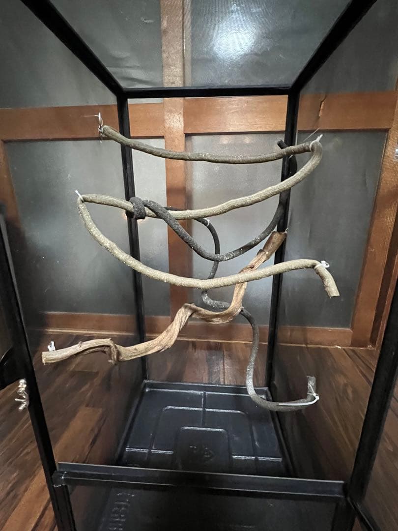 エキゾテラメッシュゲージセット