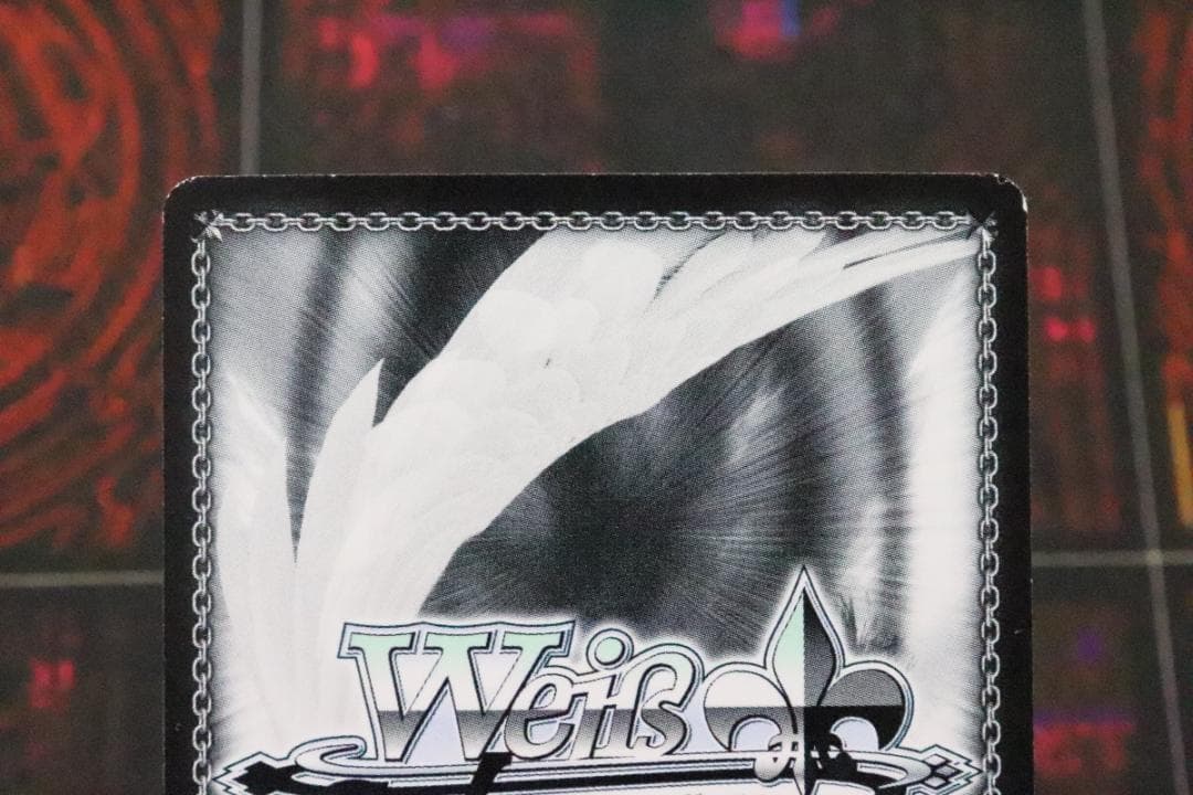 ふわもこ夢心地 望月杏奈 SSP サイン 44-MY0921-12C