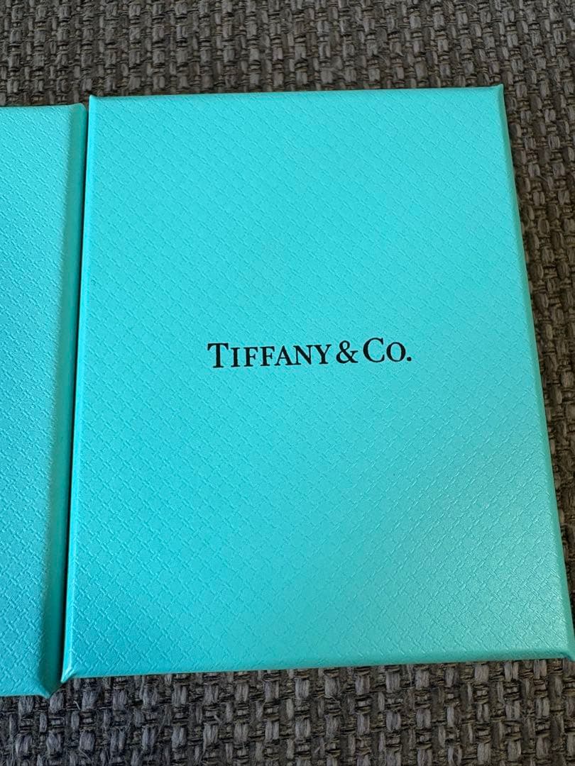 現行品　極美品　ティファニー　空箱　巾着袋　取扱説明書 10セット