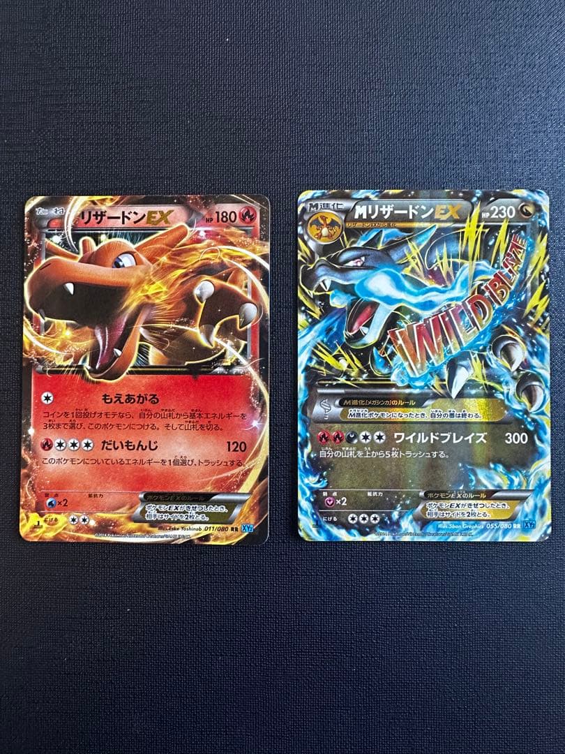 MリザードンEX RR XY2 ワイルドブレイズ リザードンEX RR2枚セット