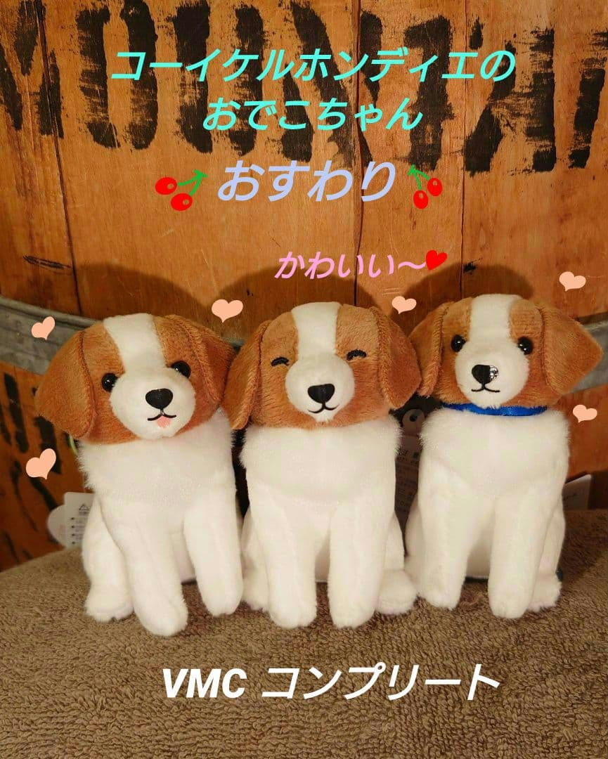 コーイケルホンディエのおでこちゃん おすわり VMCコンプリート 大谷翔平