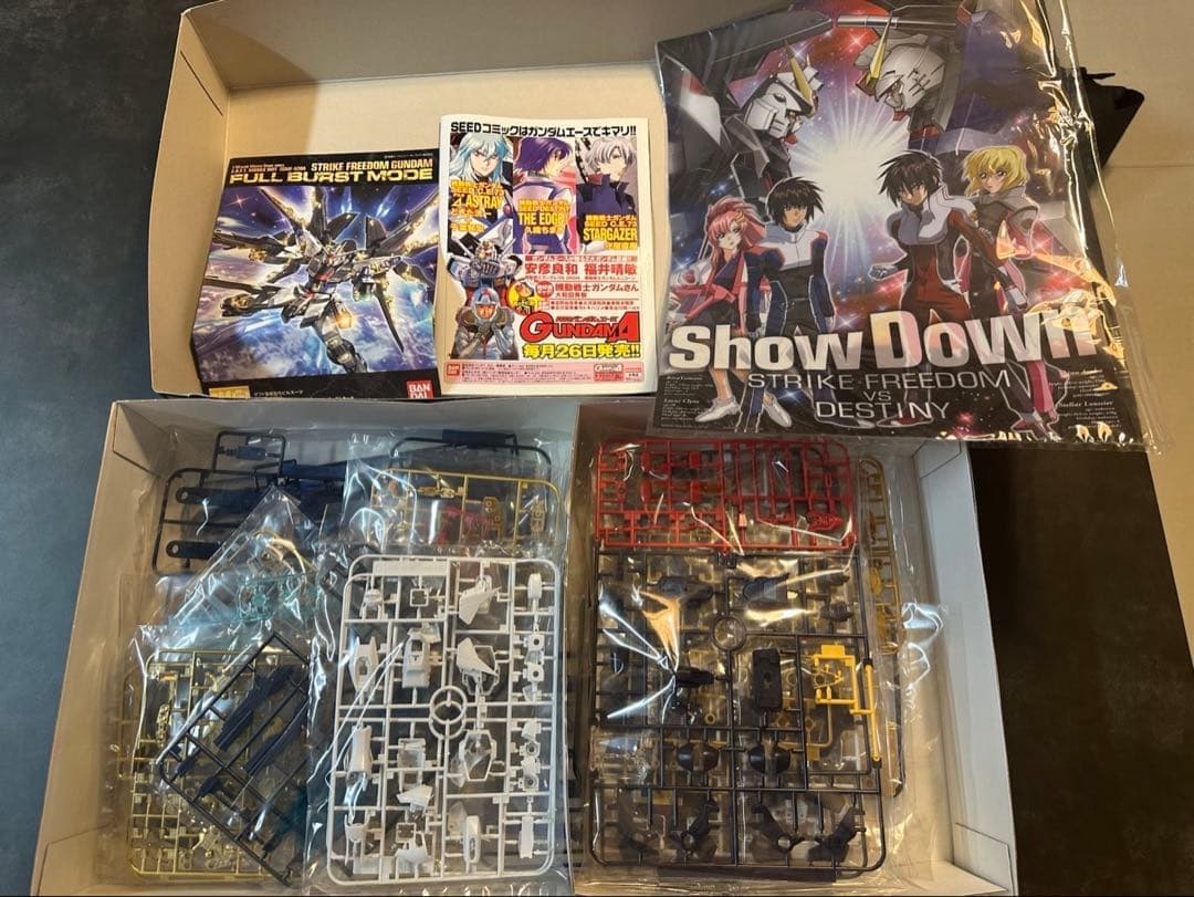 新品未使用！MG ストライクフリーダムガンダム フルバーストモード