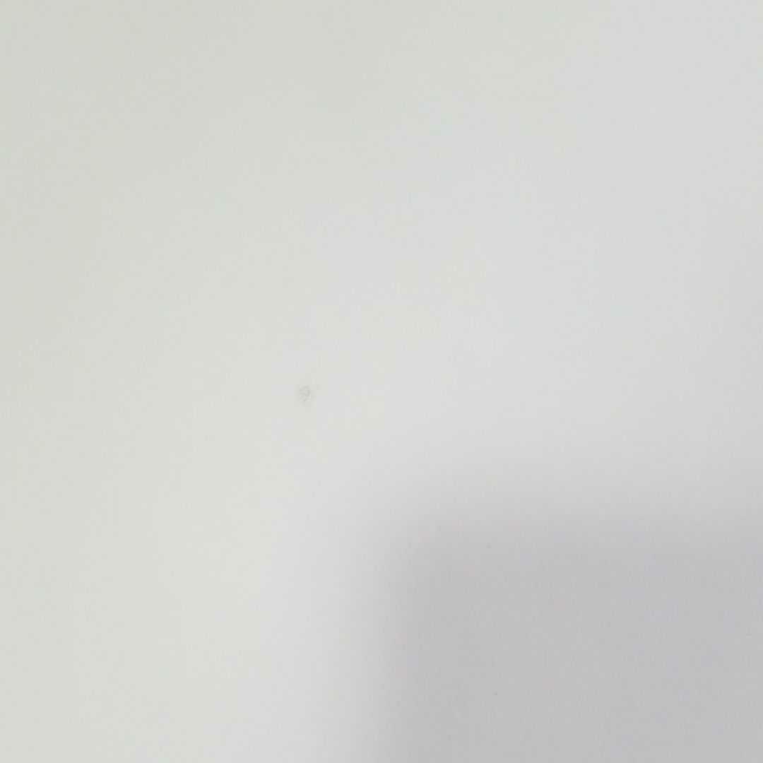 ジョジョ展 ポスター 8部 ジョジョリオン 東方定助 広瀬康穂 荒木飛呂彦杜王町