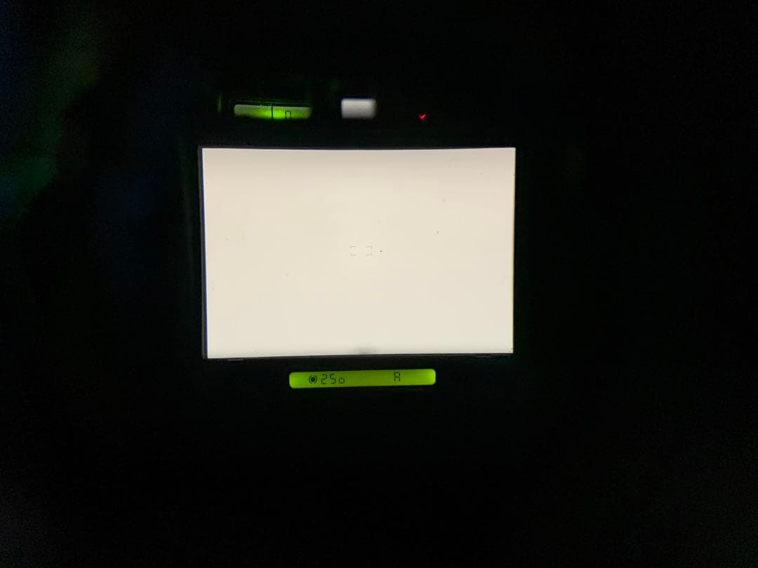 フィルムカメラ NIKON F4