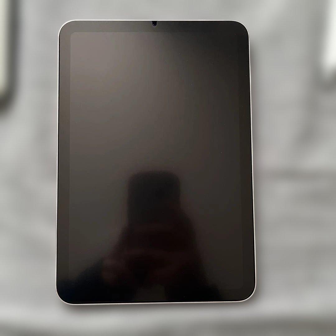 ipad mini 第6世代 ピンク 256GB Wi-Fi 本体＋付属品