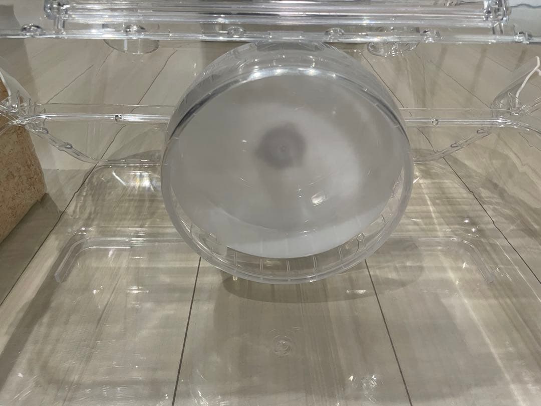 ハムスター　ケージ　飼育セット