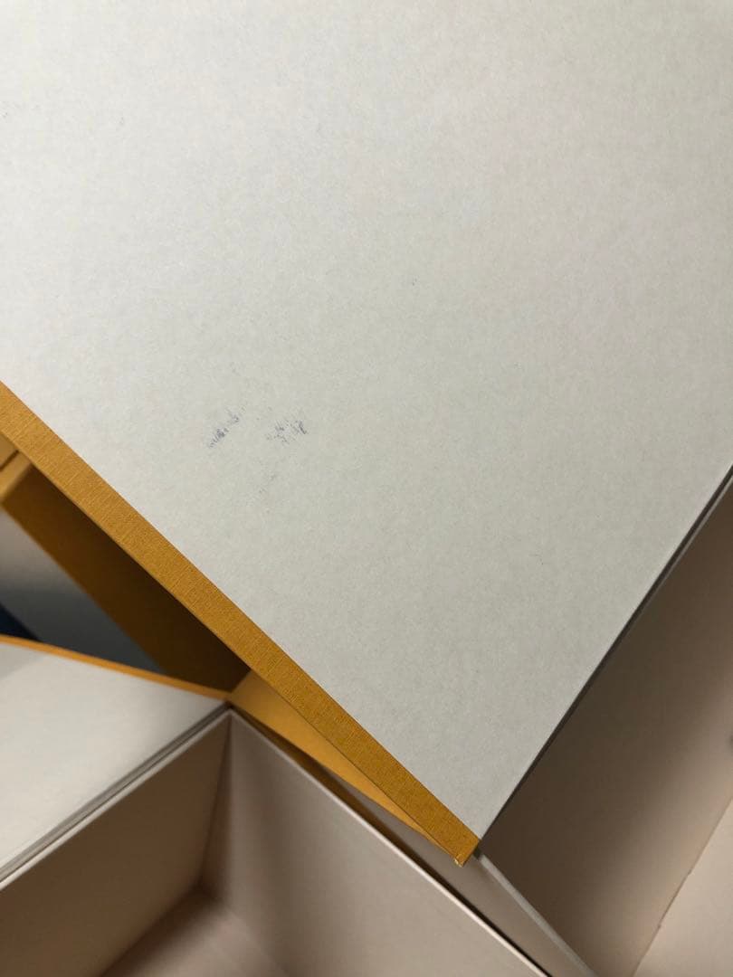 最終価格　ルイヴィトン　バッグ等箱　保存袋　まとめ売り