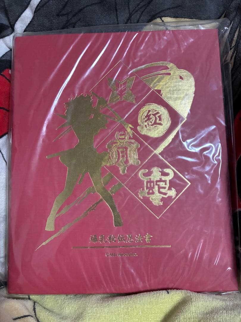 【MNTさま用】閃乱カグラ（爆乳秘伝忍法書）