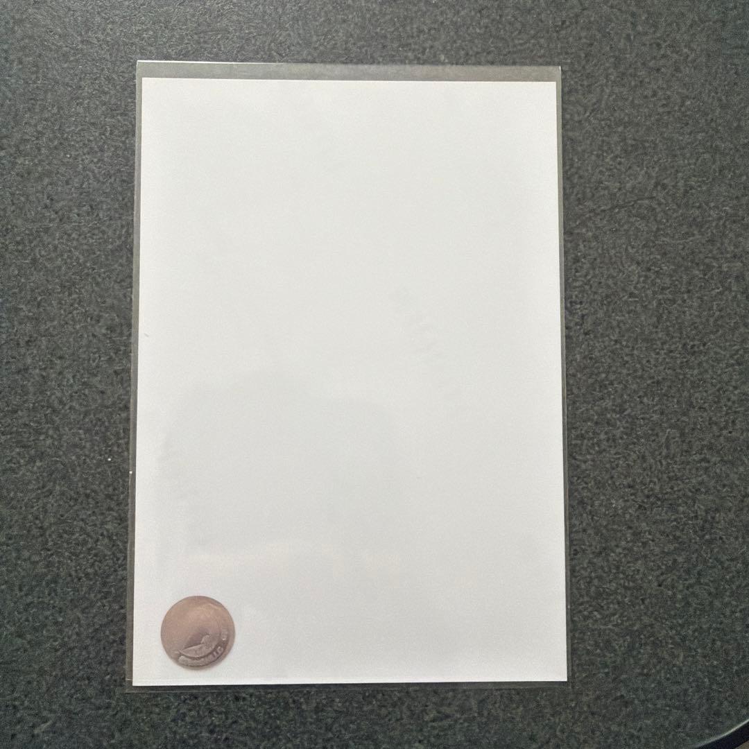 乃木坂46 筒井あやめ 直筆サイン入り生写真