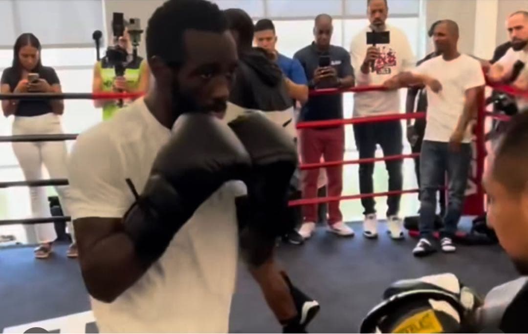 【服売ります】エバーラストエリート　プロトレーニンググローブ