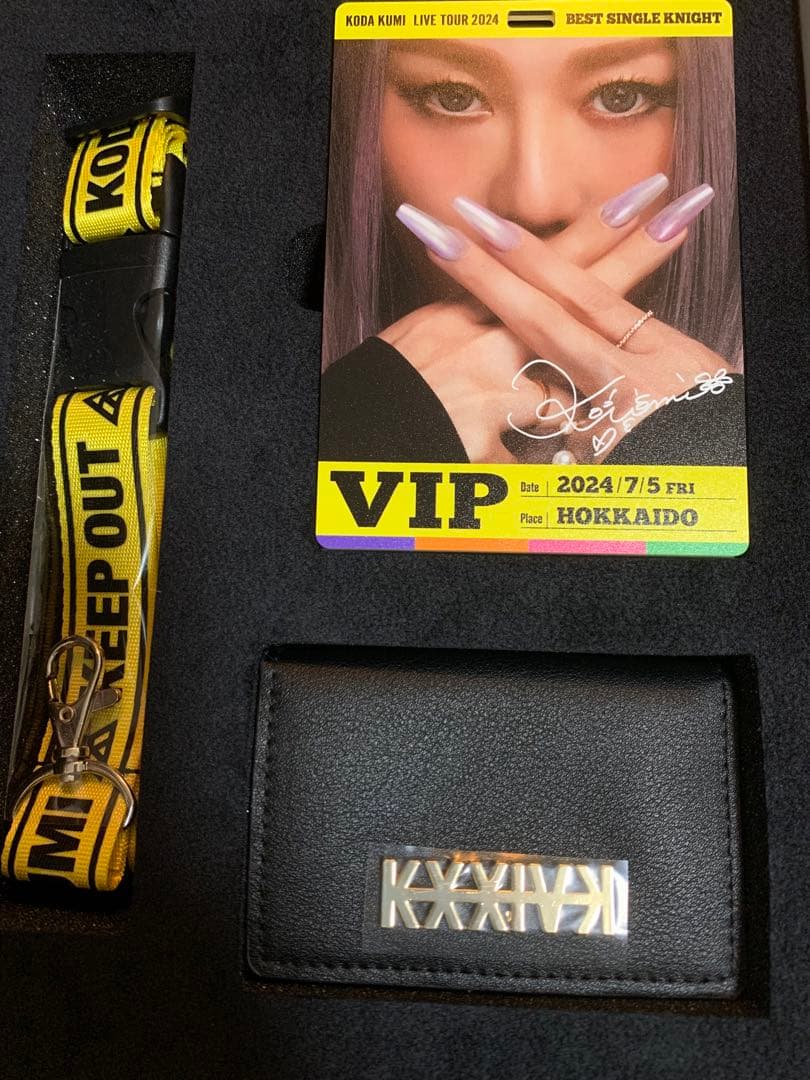 ミュージシャン KODAKUMI LIVETOUR2024BEST SINGLE KNIGHT