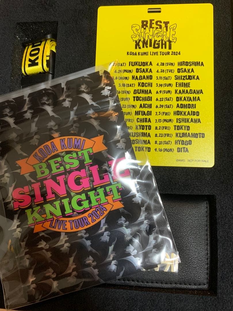 ミュージシャン KODAKUMI LIVETOUR2024BEST SINGLE KNIGHT