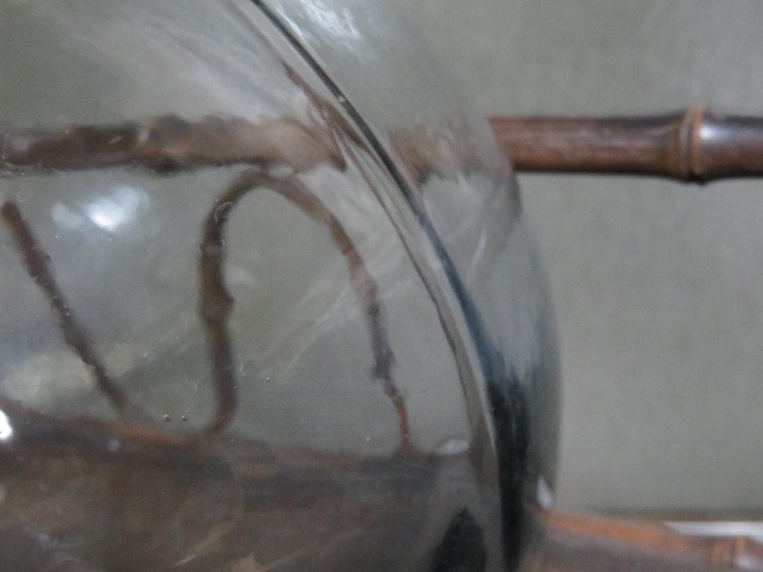 ◆393◆【昭和レトロ】蓋付ガラス 駄菓子瓶 アルミ蓋 アルミ蓋