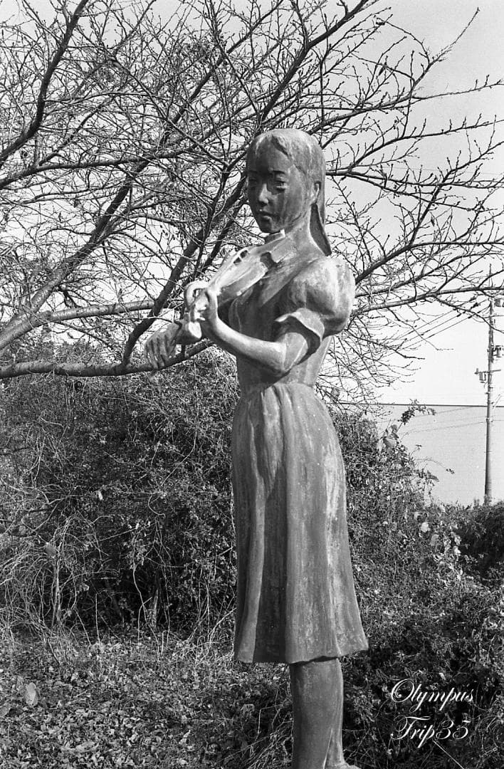 【整備済完動品作例あり】Olympus Trip 35 コンパクトフィルムカメラ