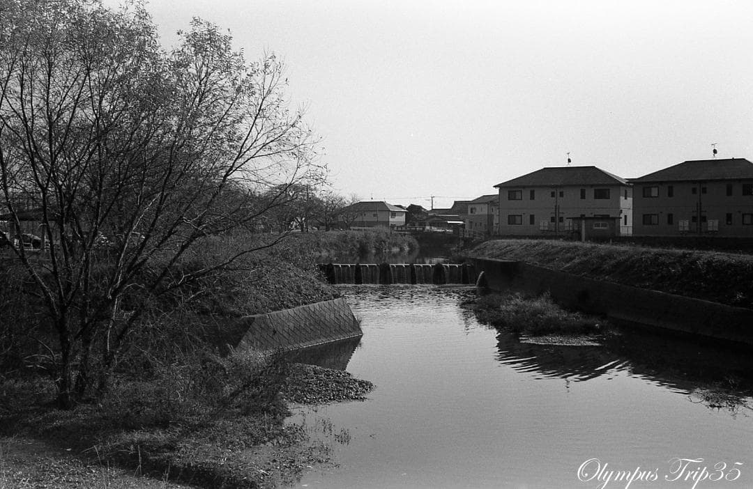 【整備済完動品作例あり】Olympus Trip 35 コンパクトフィルムカメラ