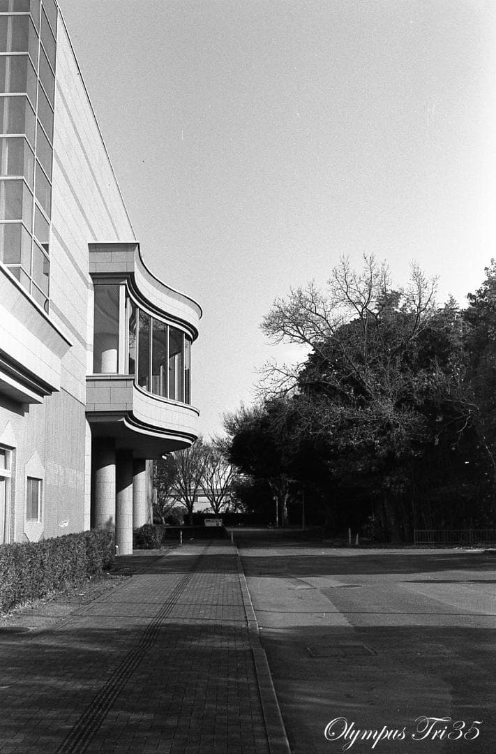 【整備済完動品作例あり】Olympus Trip 35 コンパクトフィルムカメラ